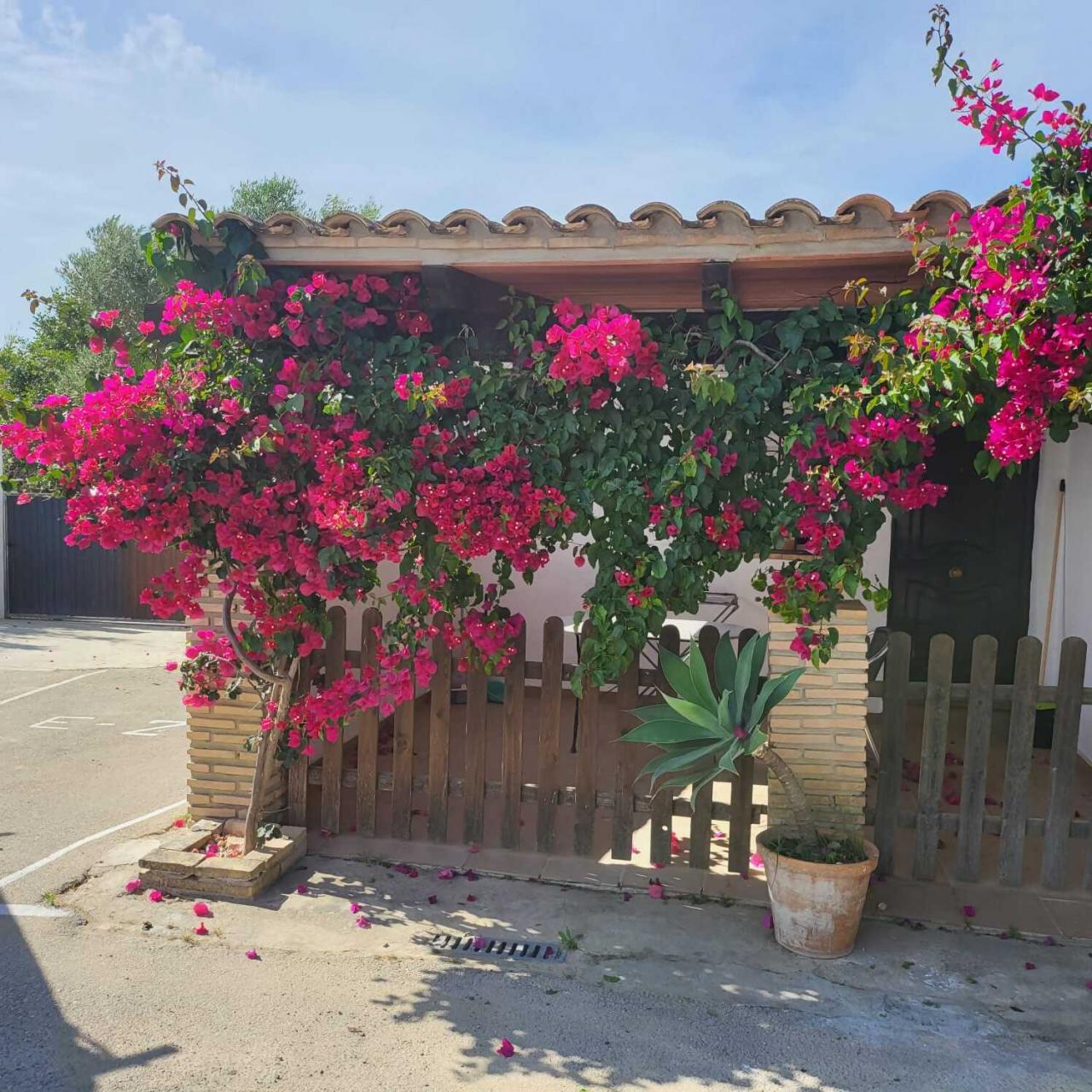 accommodation-image