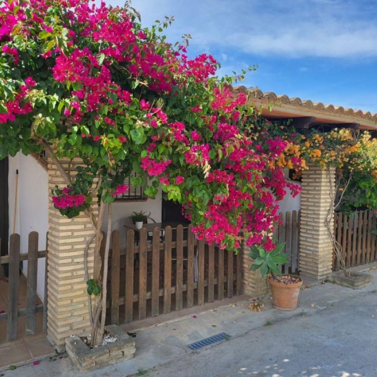 accommodation-image