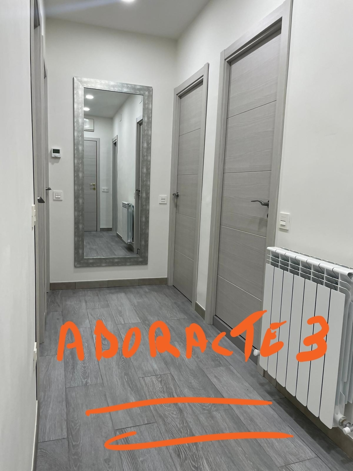 https://static.avaibook.com/uploads/fotos_alojs/alojamiento_compress/4/392784_4859839fc7_1.jpg