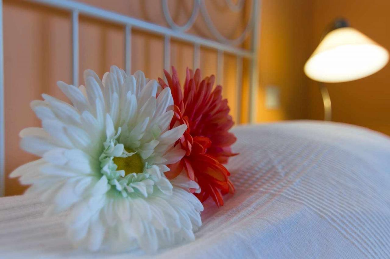 accommodation-image