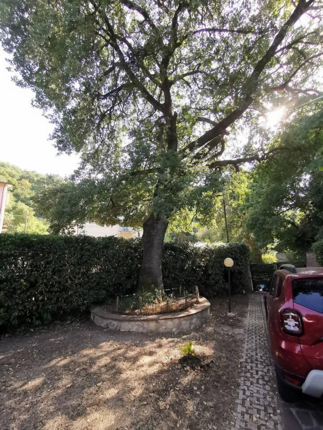 accommodation-image