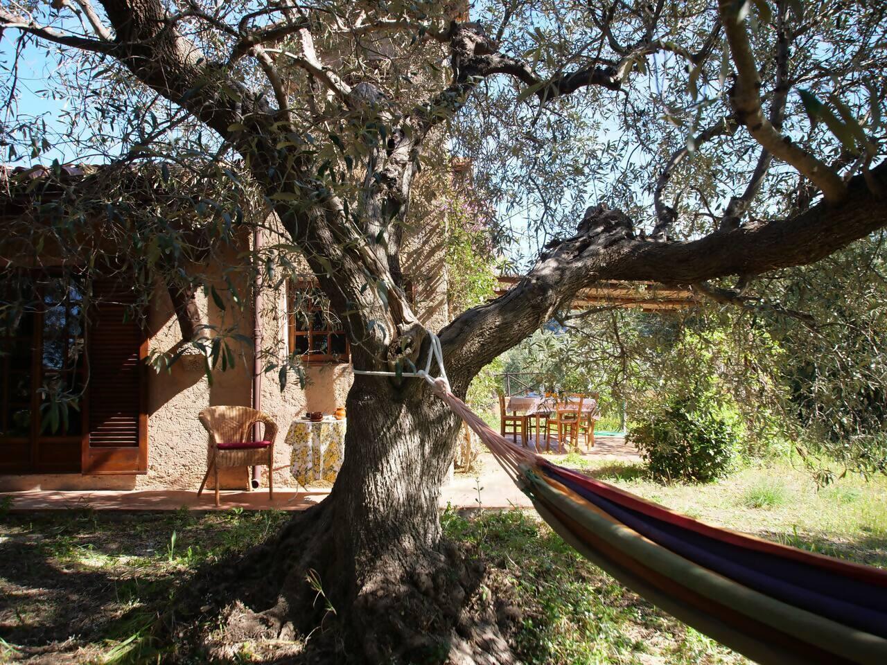 accommodation-image